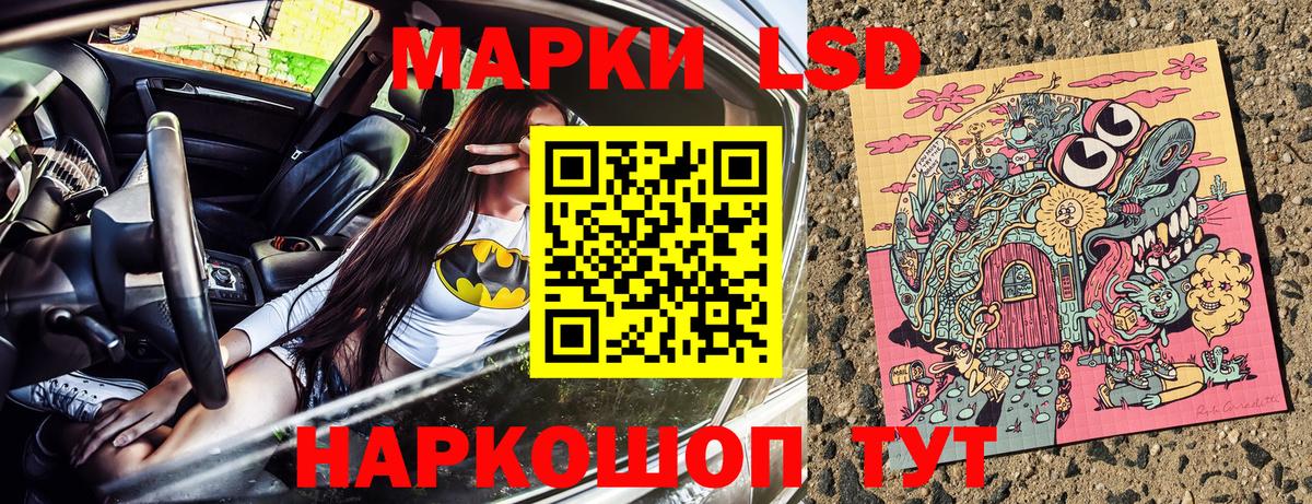 Новозыбков  Марки NBOMe 1,8мг  Вход с VPN 