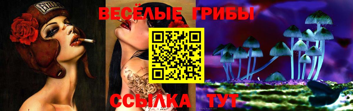 Галлюциногенные грибы GOLDEN TEACHER Новозыбков