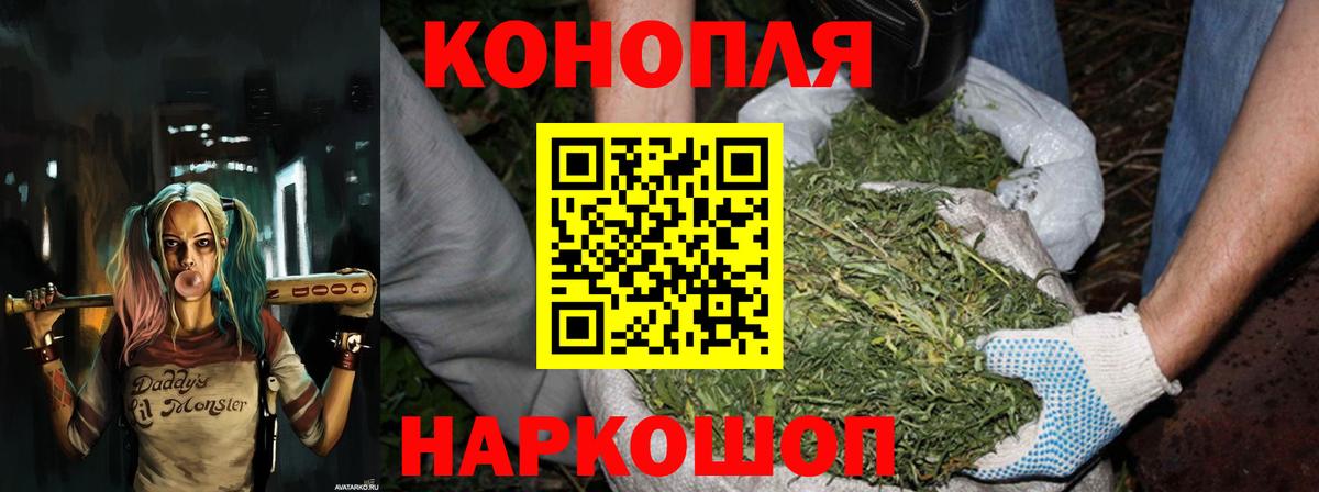 Новозыбков  Конопля планчик  Бошки марихуана Ganja  Бошки марихуана SATIVA & INDICA  Вход с VPN 